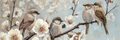 Image Not Available